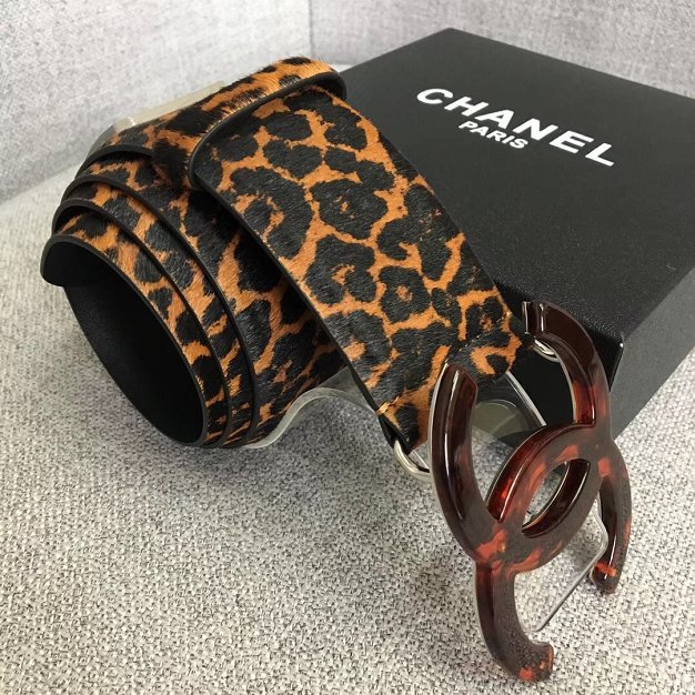 CC original leopard 53mm belt AA0554 dark coffee