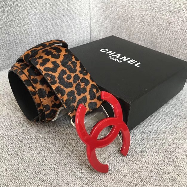 CC original leopard 53mm belt AA0554 red