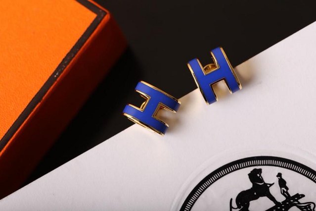 Hermes top quality H earrings H217599 blue