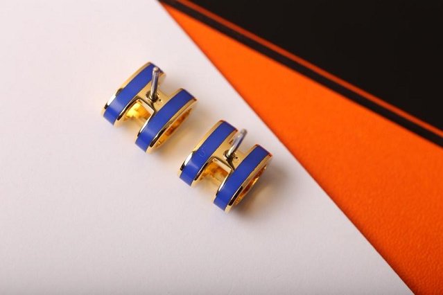 Hermes top quality H earrings H217599 blue