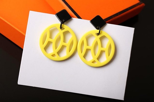 Hermes top quality resin earrings H217594 