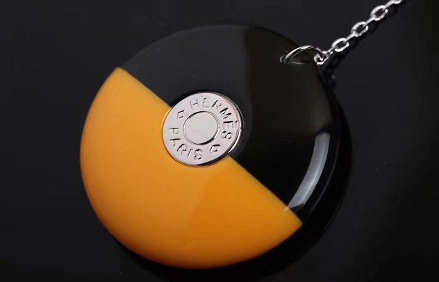 Hermes top quality resin earrings H217595 black&yellow