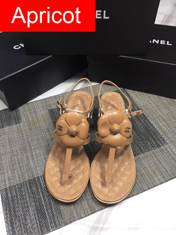 CC original calfskin sandals G34755 apricot