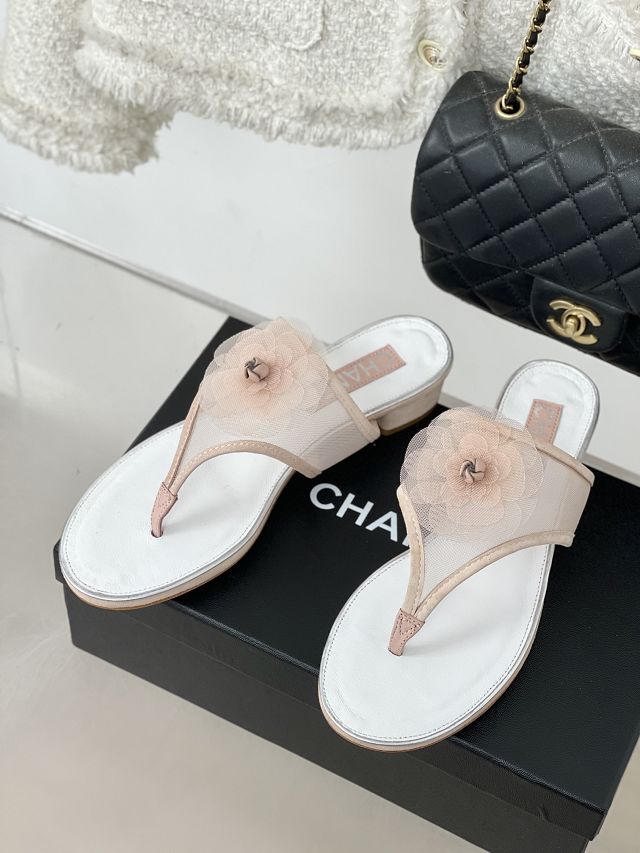 CC mesh mules CH0263