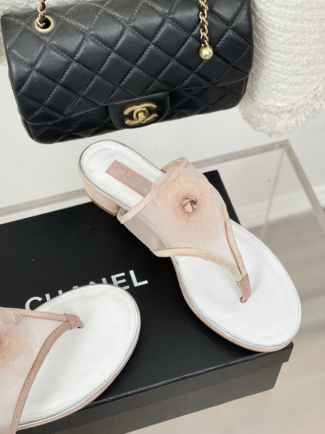 CC mesh mules CH0263